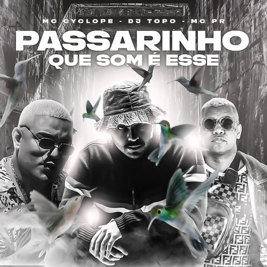 Canción Passarinho Que Som É Esse