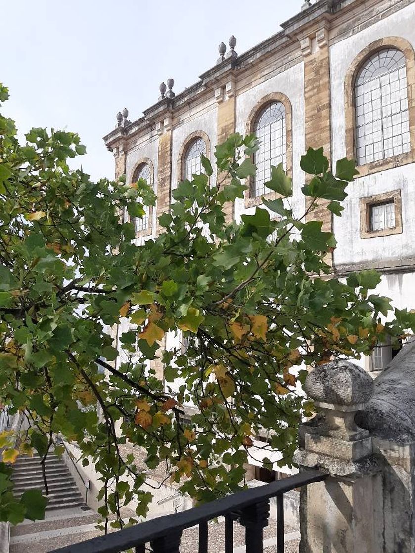 Place Paço das Escolas