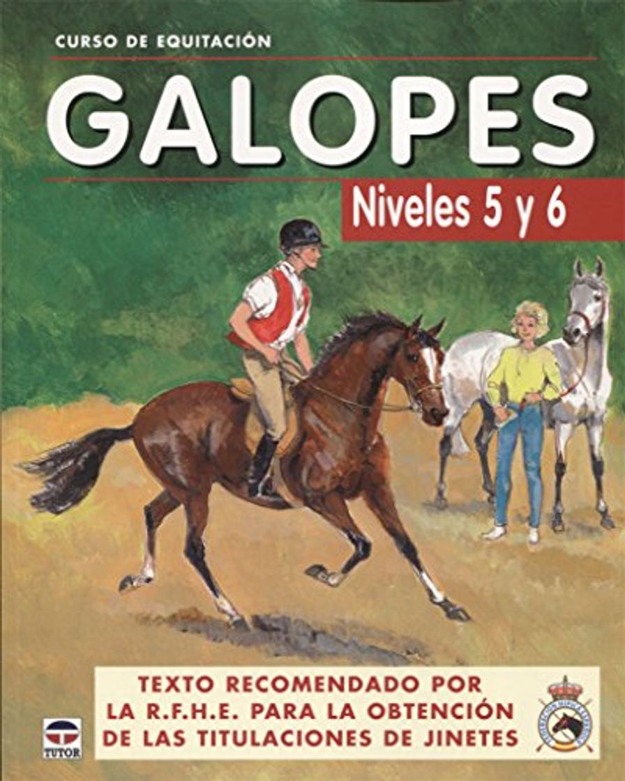 Libros CURSO DE EQUITACIÓN. GALOPES NIVELES 5 Y 6