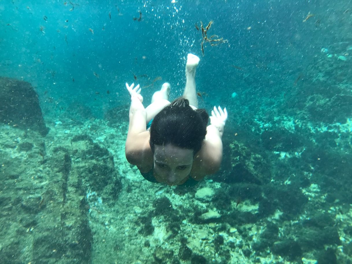 Place Casa Tortuga Tulum