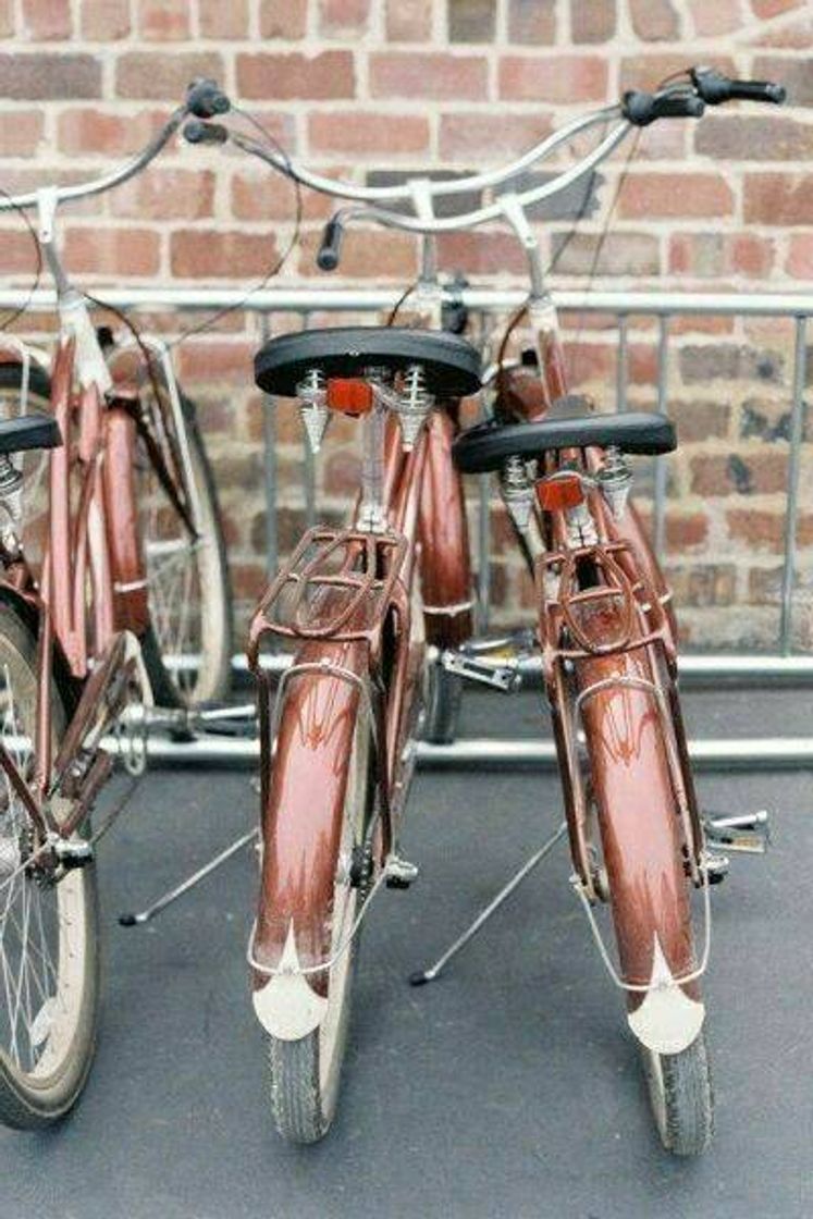 Moda Bike Style