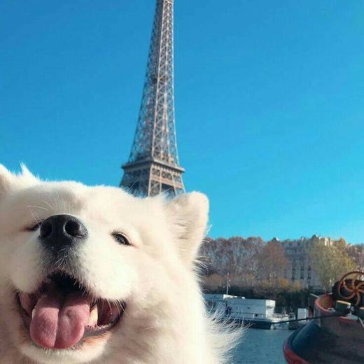 Selfie em Paris ❤️