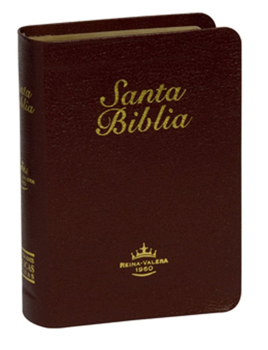 Book Santa Biblia-RVR 1960