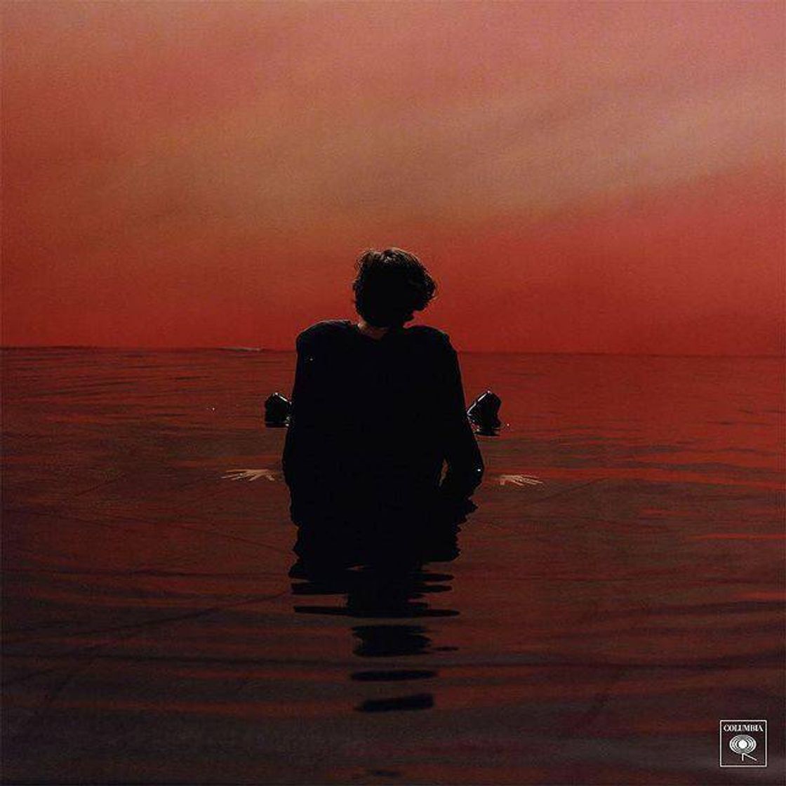 Music Kiwi - Harry Styles