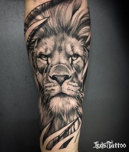  Tatto leão