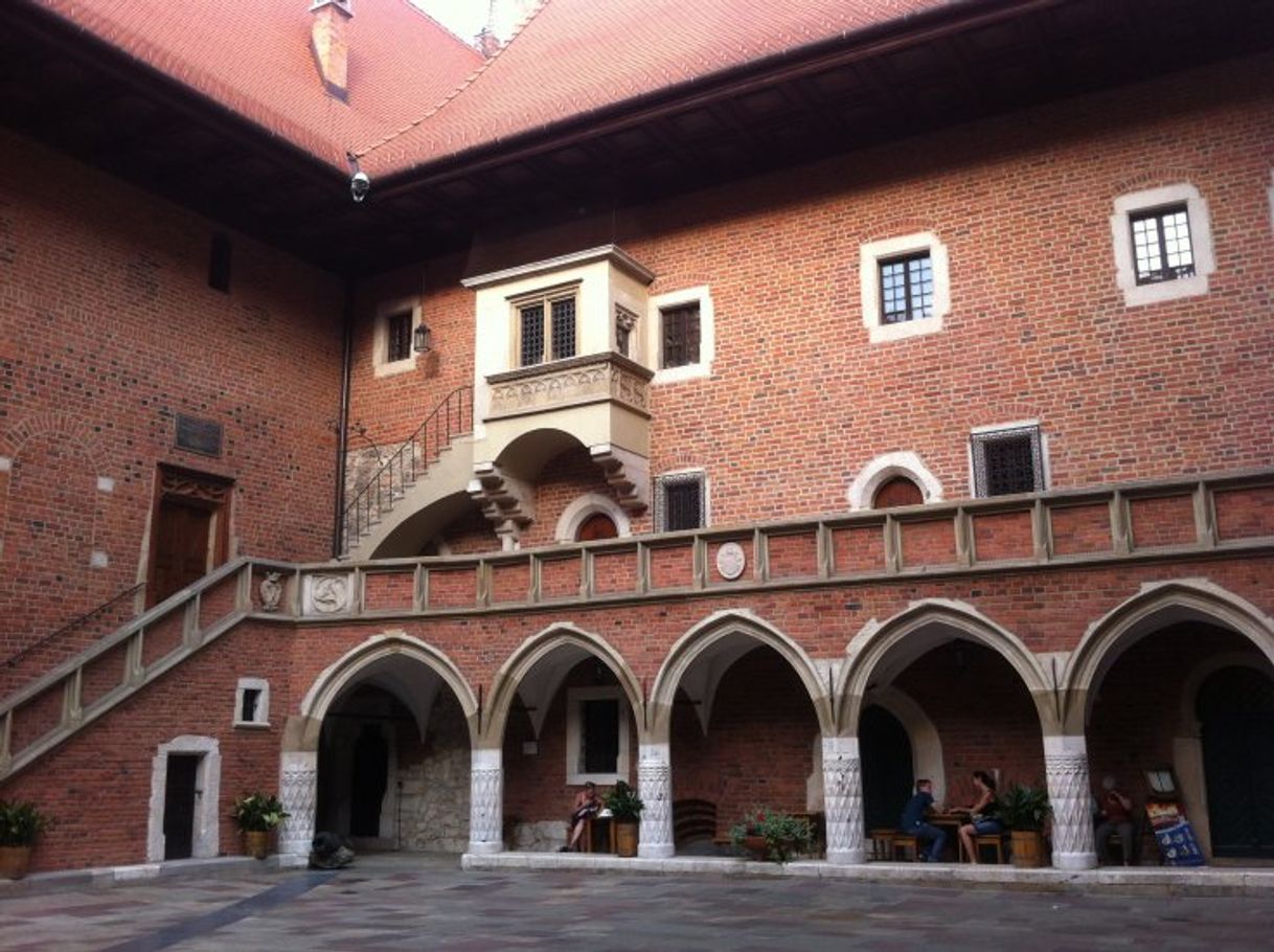 Lugar Collegium Maius