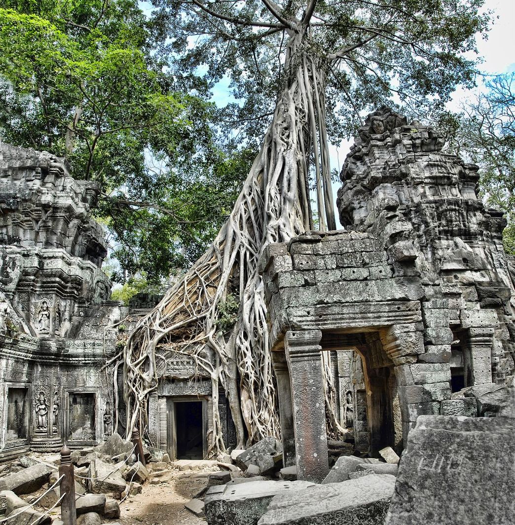 Place Ta Prohm