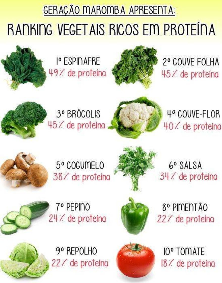 Moda go veggie 🌱🐄