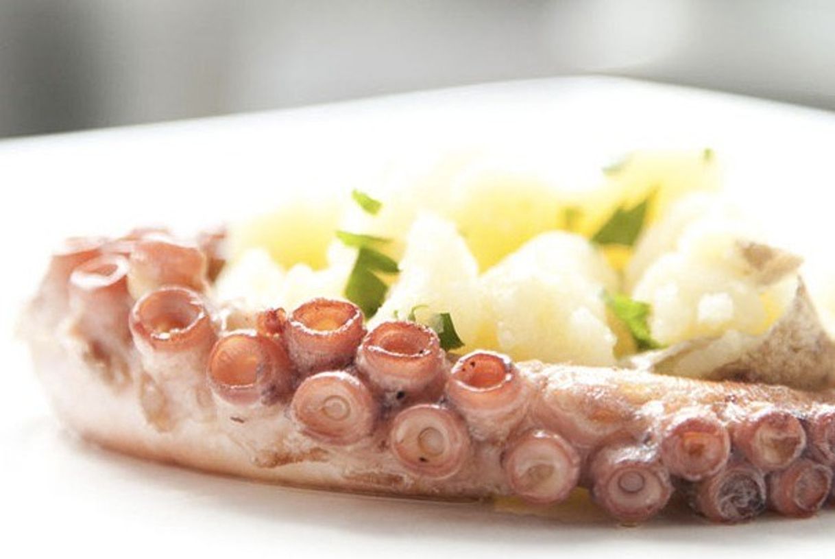 Restaurants Sal Gastronomia
