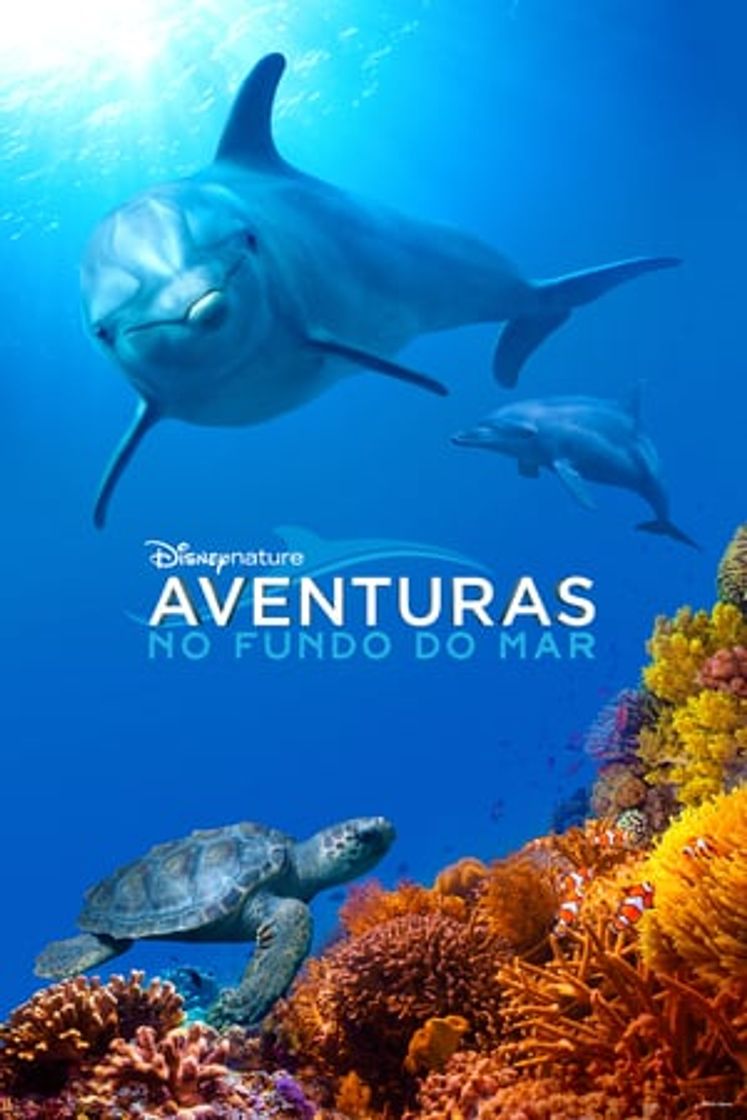 Película Delfines: La vida en el arrecife