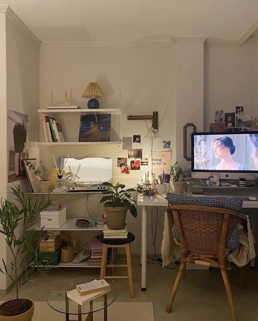 Social Decoração com Plantas!