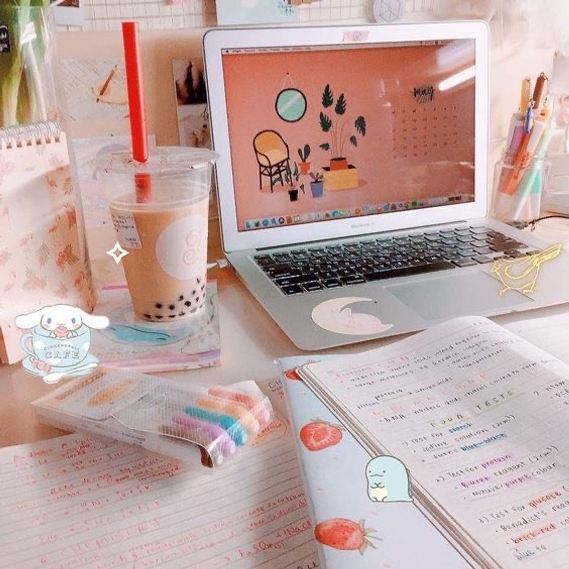 Social Objetos que Incrementam sua Mesa!