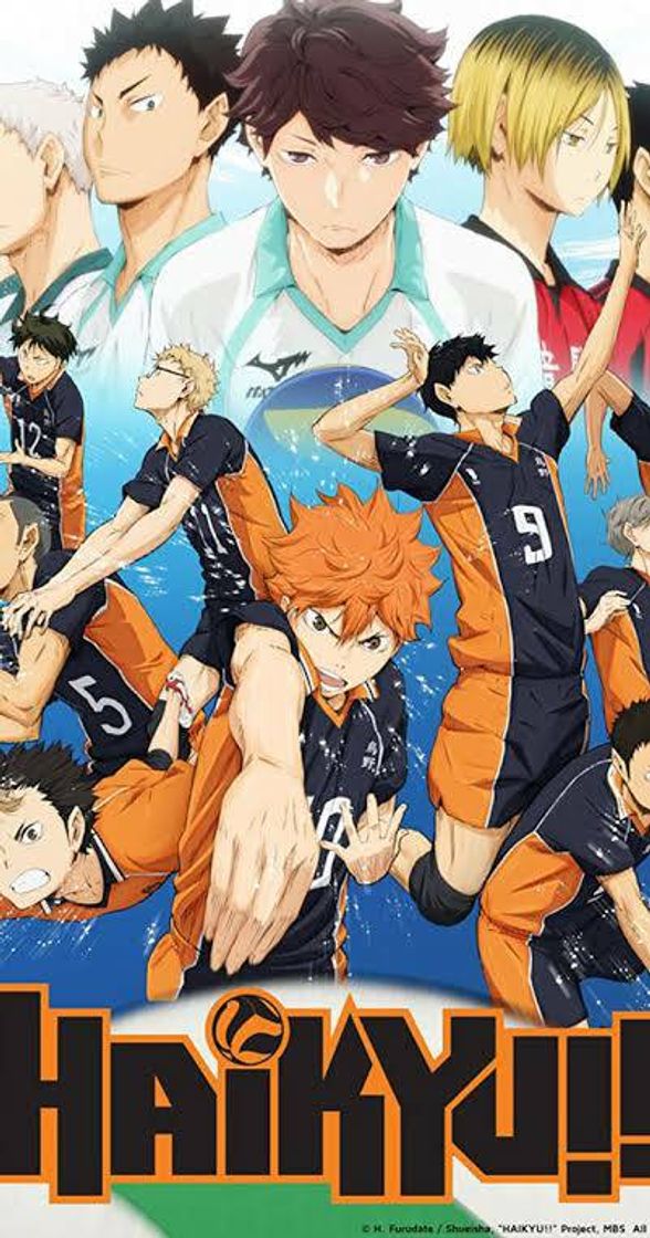 Serie Anime de voley