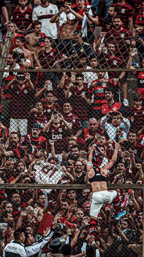 wallpaper do flamengo 