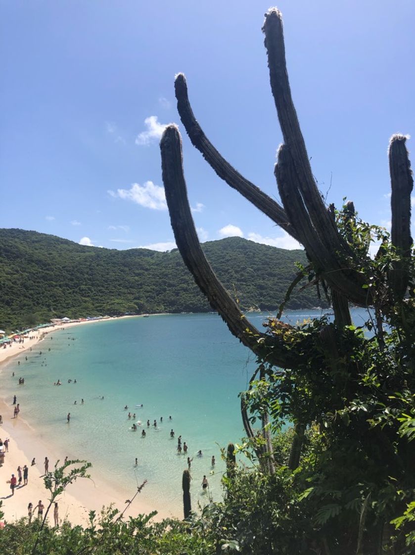 Place Arraial do Cabo