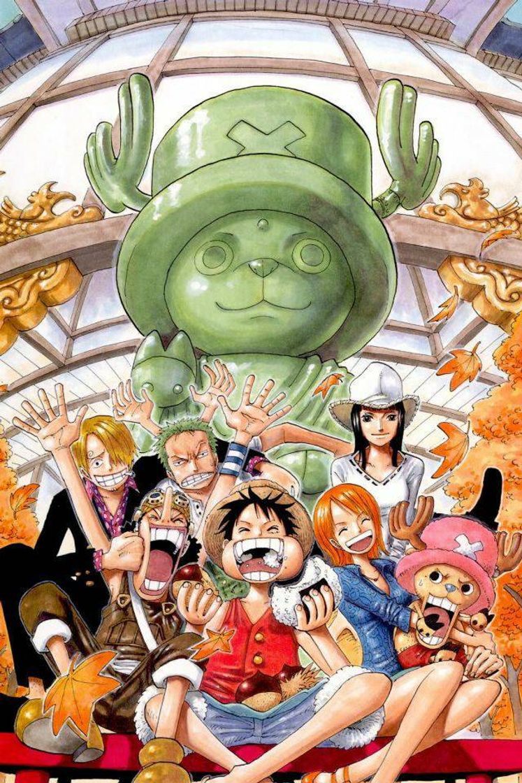 Serie ONE PIECE