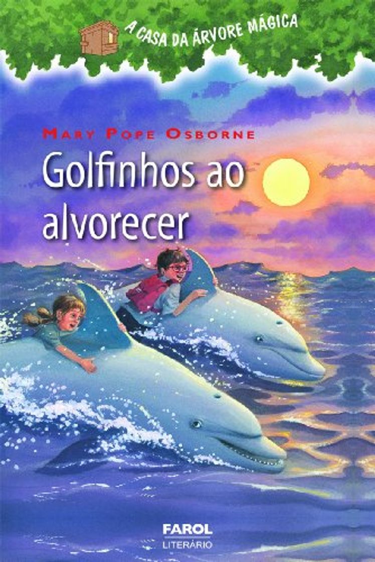 Book Golfinhos ao alvorecer