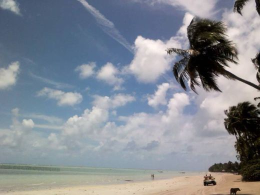 Praia Ponta do Mangue