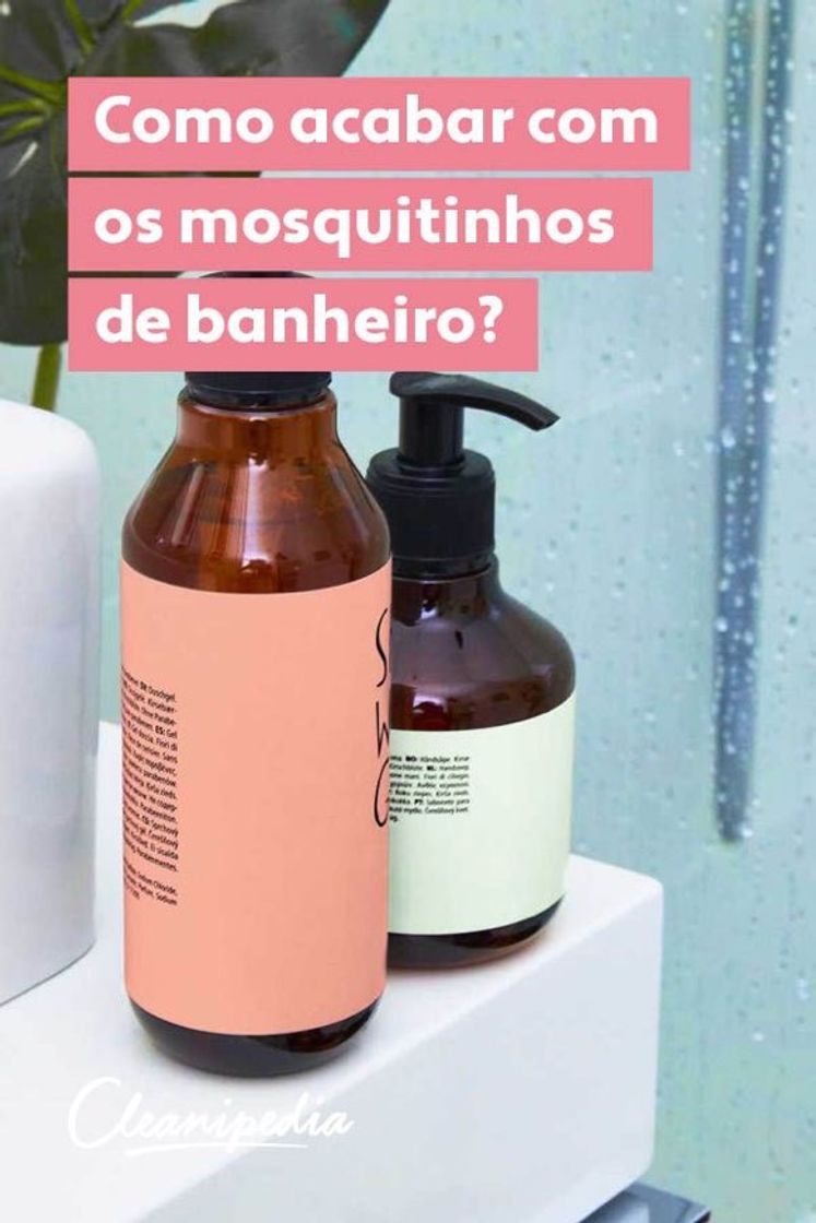 Moda Como acabar com as mosquinhas de banheiro 