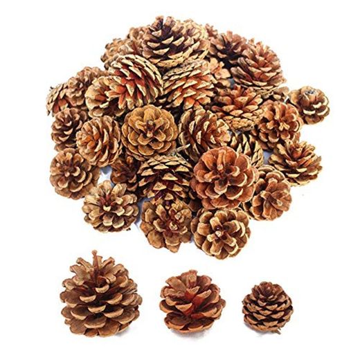 Lifreer 30 piezas de conos de pino seco natural adornos de Navidad