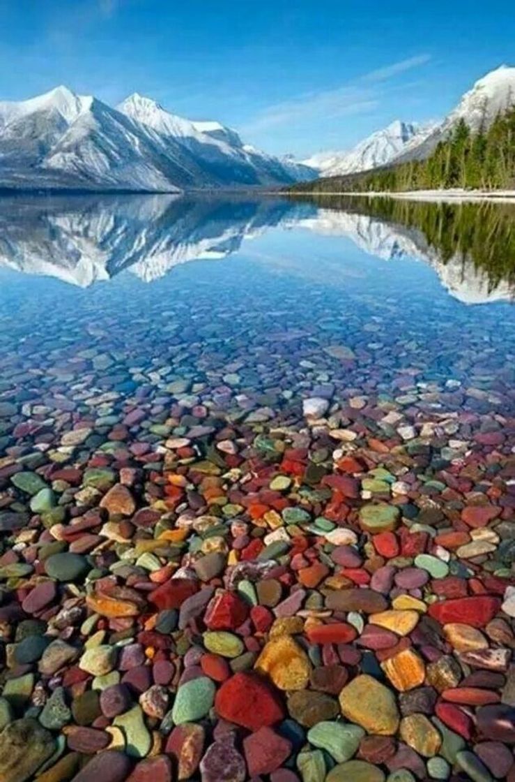 Lugar Glacier National Park