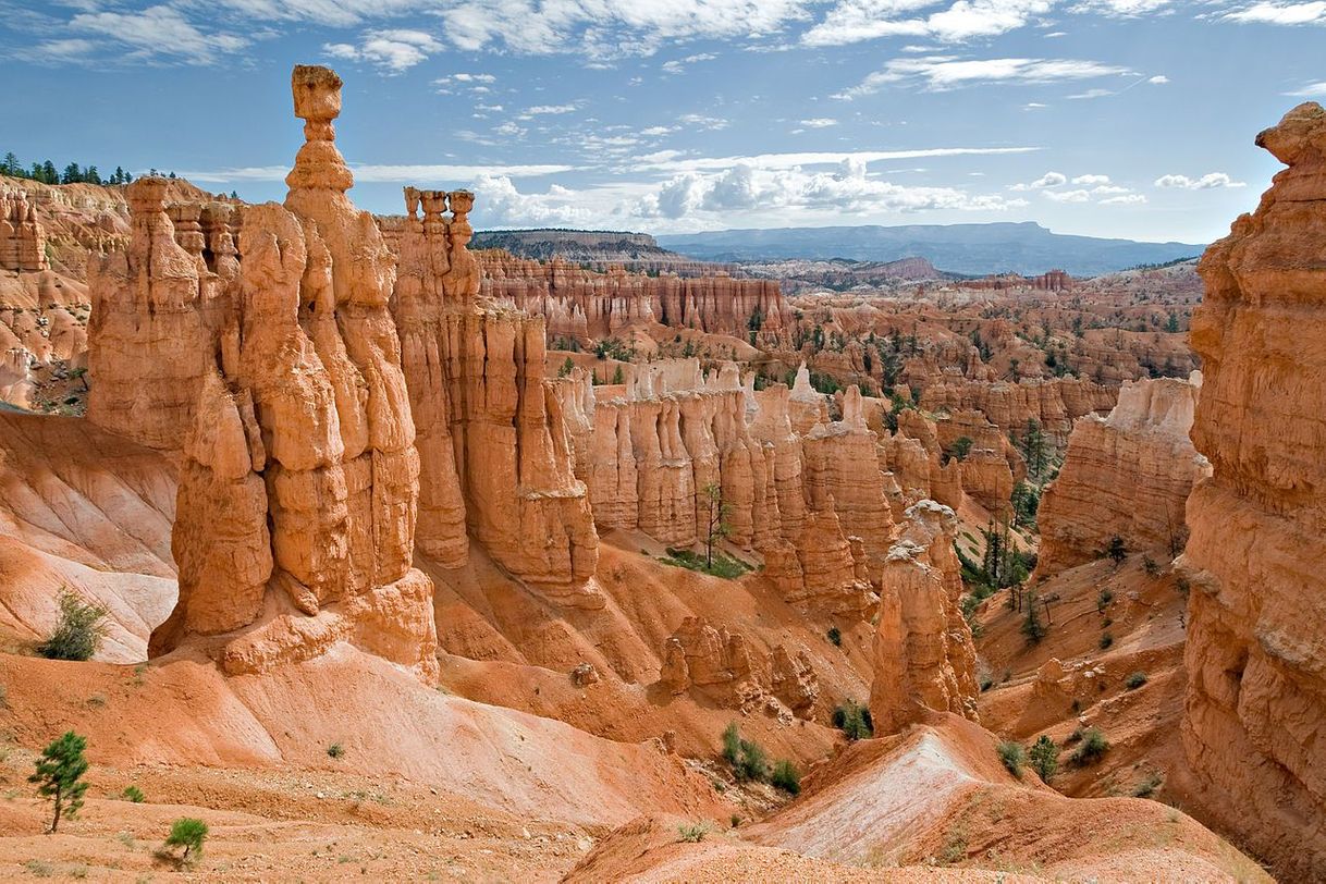 Lugar Parque Nacional del Cañón Bryce