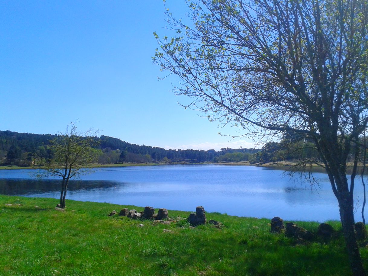 Place Embalse de Cachamuíña