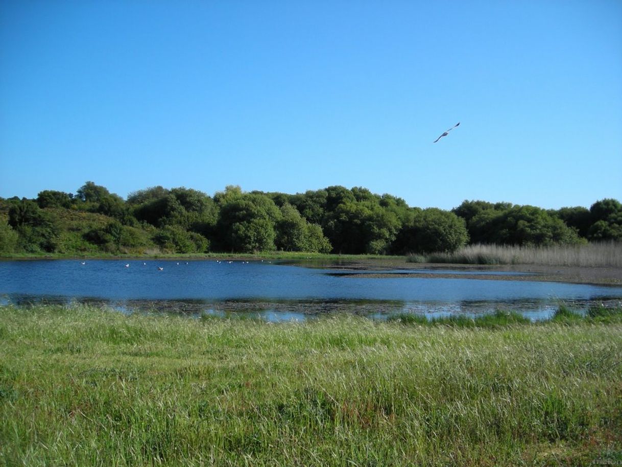 Place Lagoa Bodeira