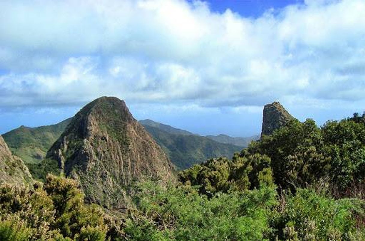 Lugar Parque Nacional de Garajonay