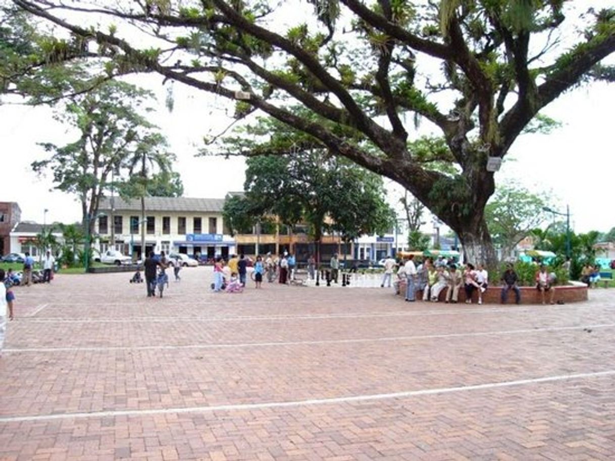 Place Acacías