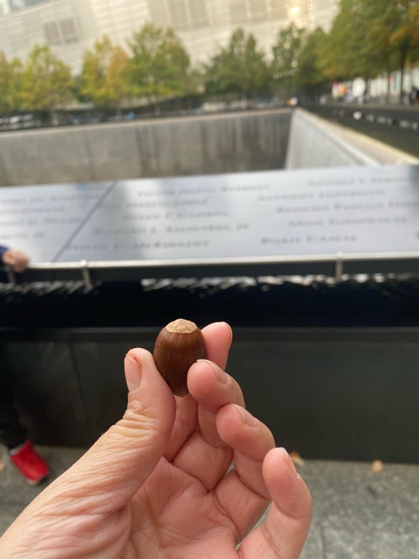 Place 9/11 Memorial