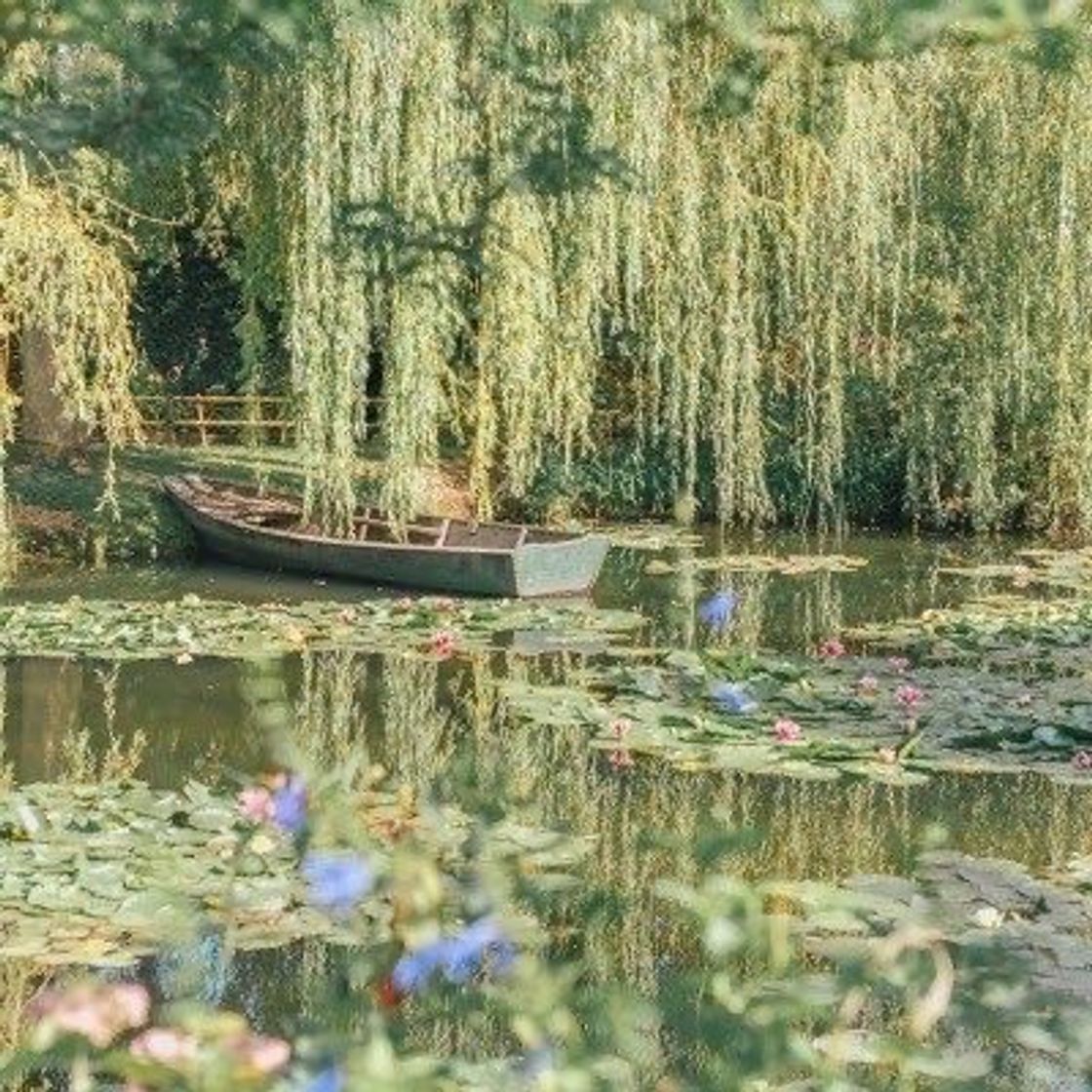 Lugar Monet garden