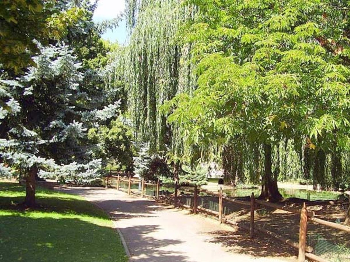 Lugares Parque De Quevedo