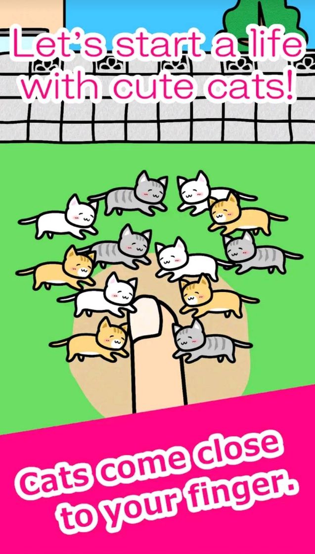 App Play with Cats - Apps on Google Play