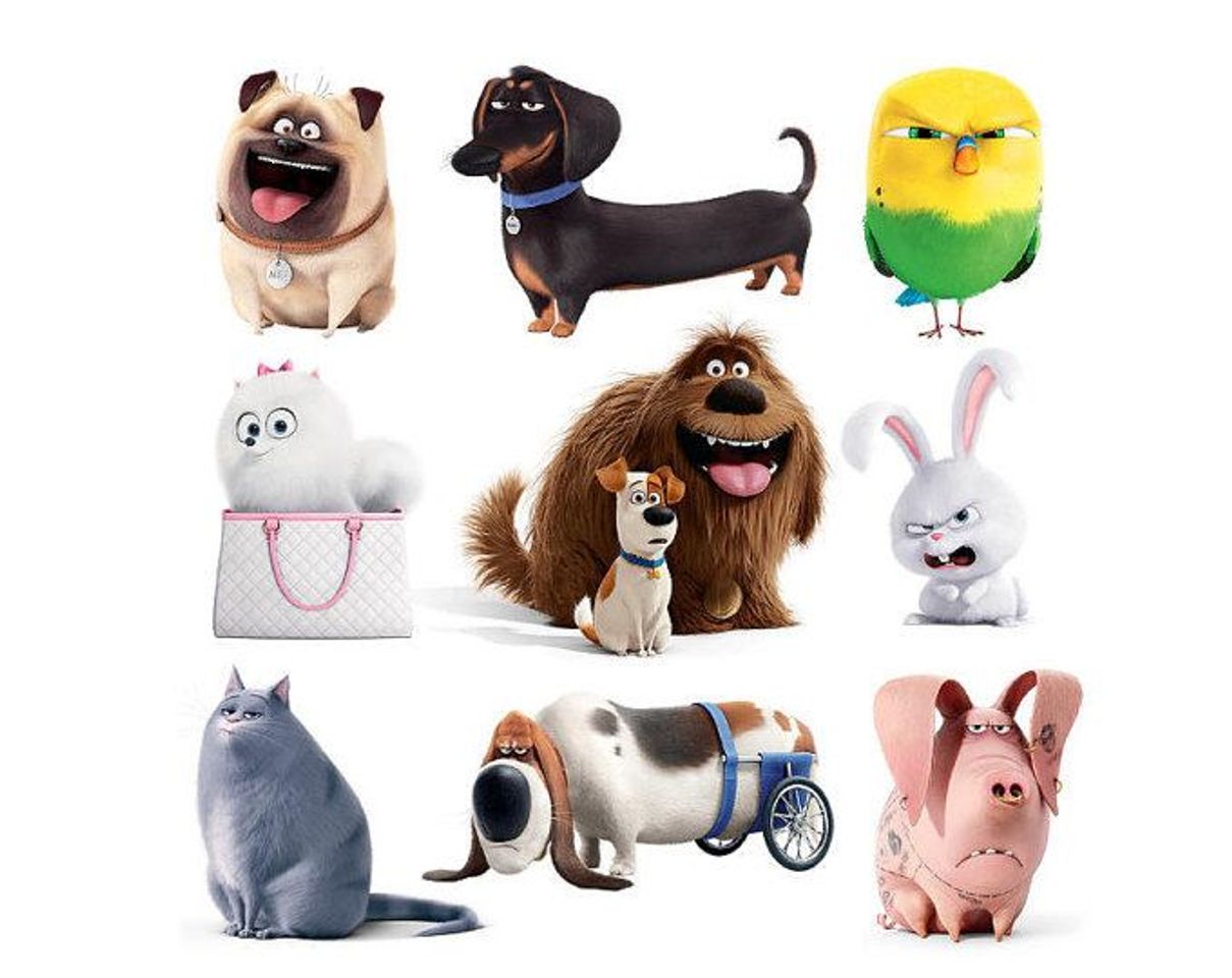 Movie 💠"La vida secreta de tus mascotas" 