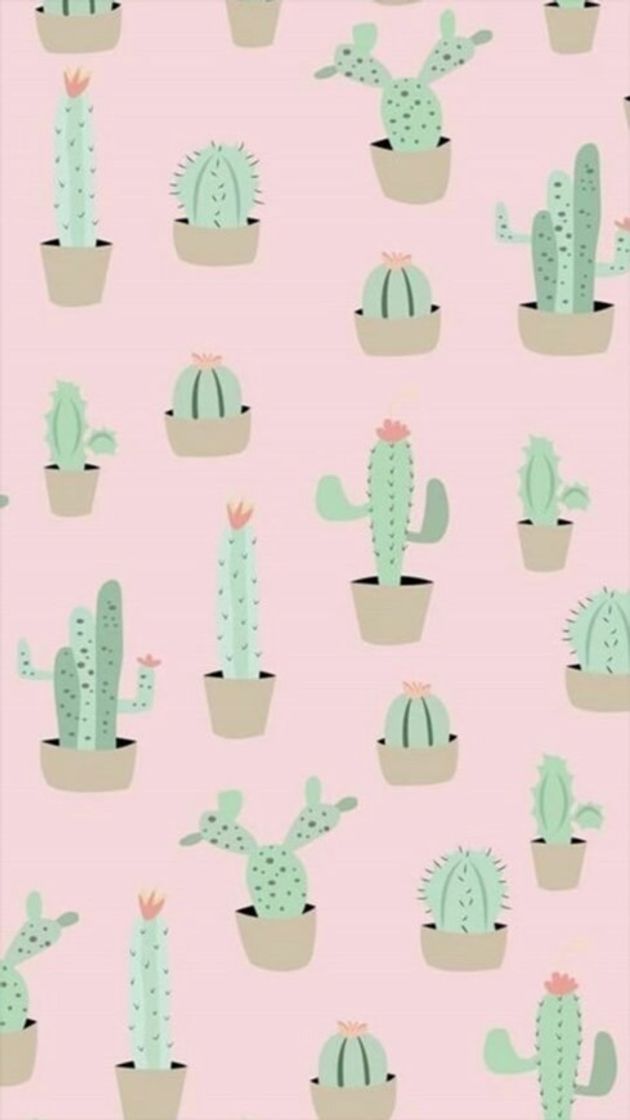 Moda cactus 🌵 💚