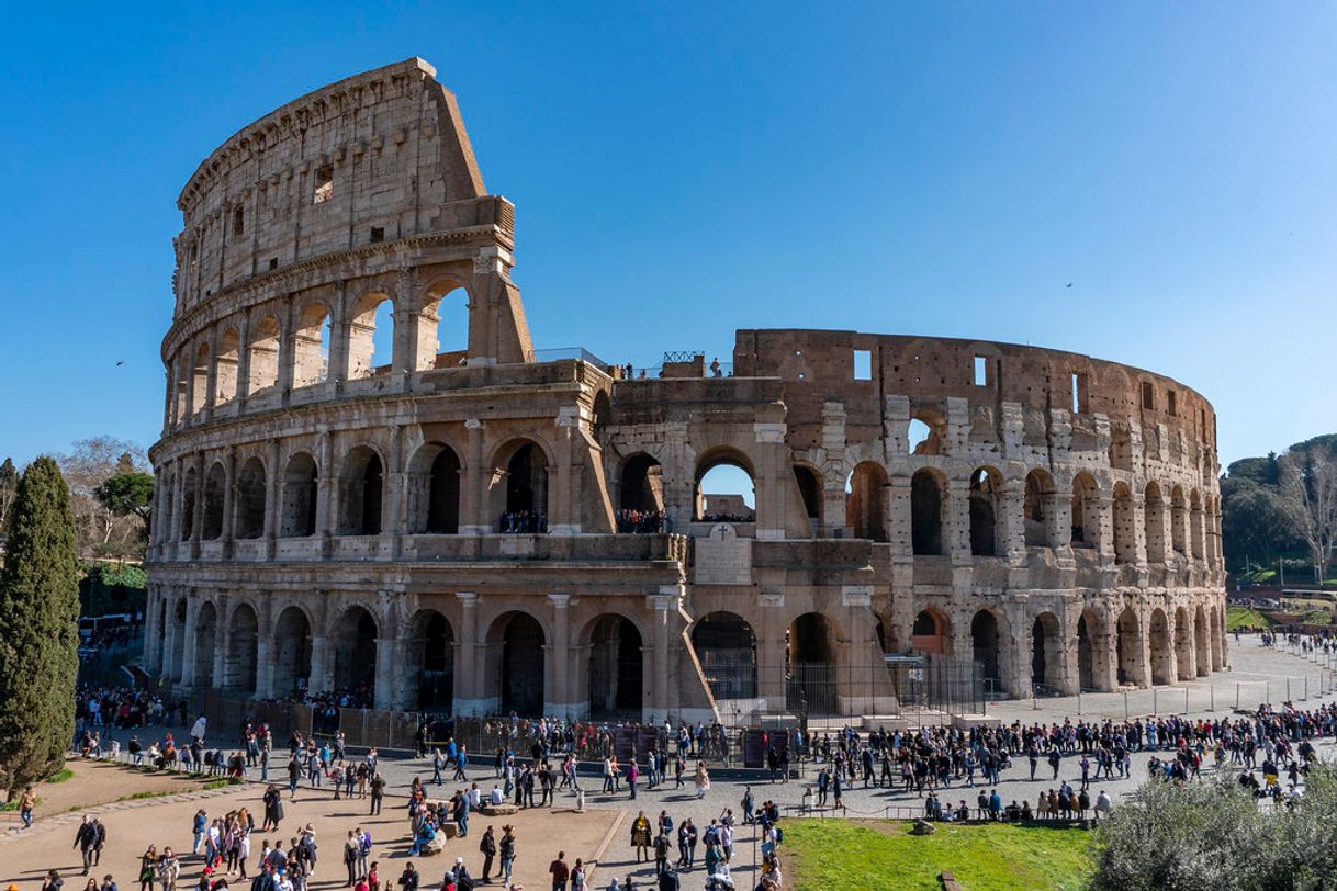 Lugar Coliseo de Roma