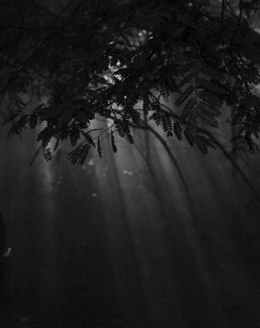 Social BW PHOTOS 