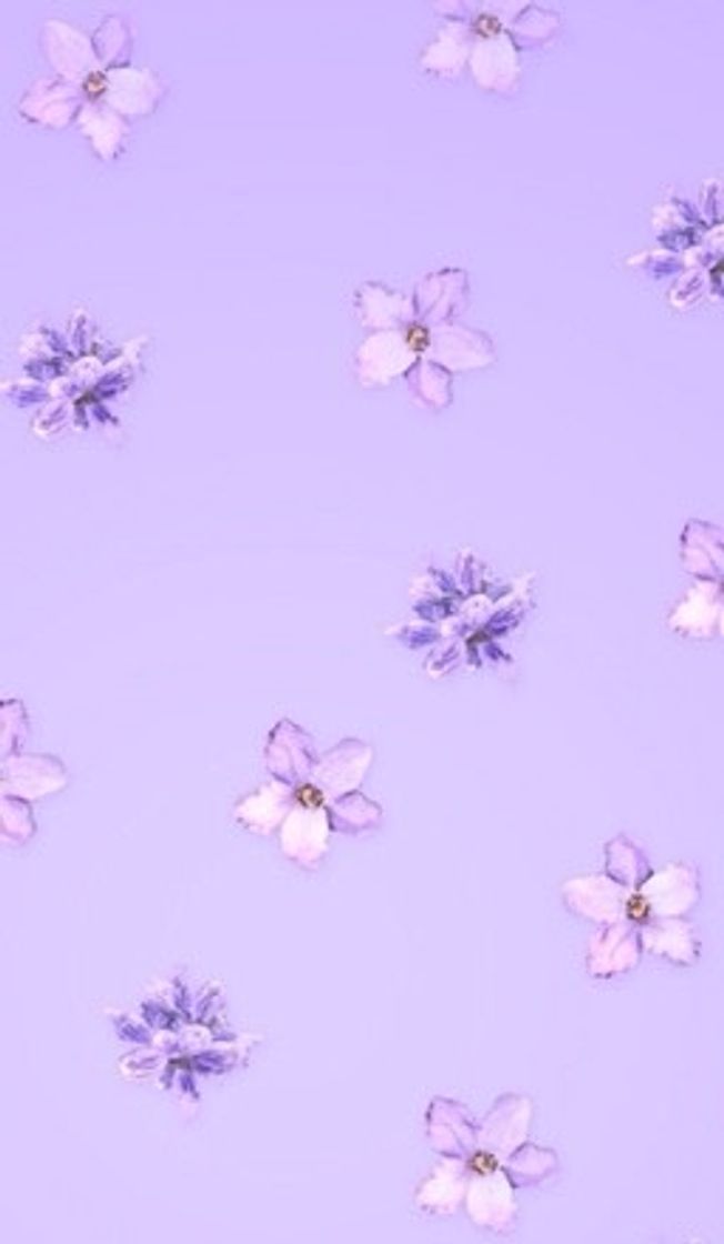 Moda Purple wallpaper 