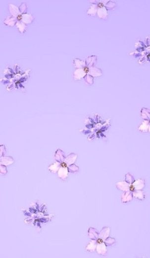 Purple wallpaper 