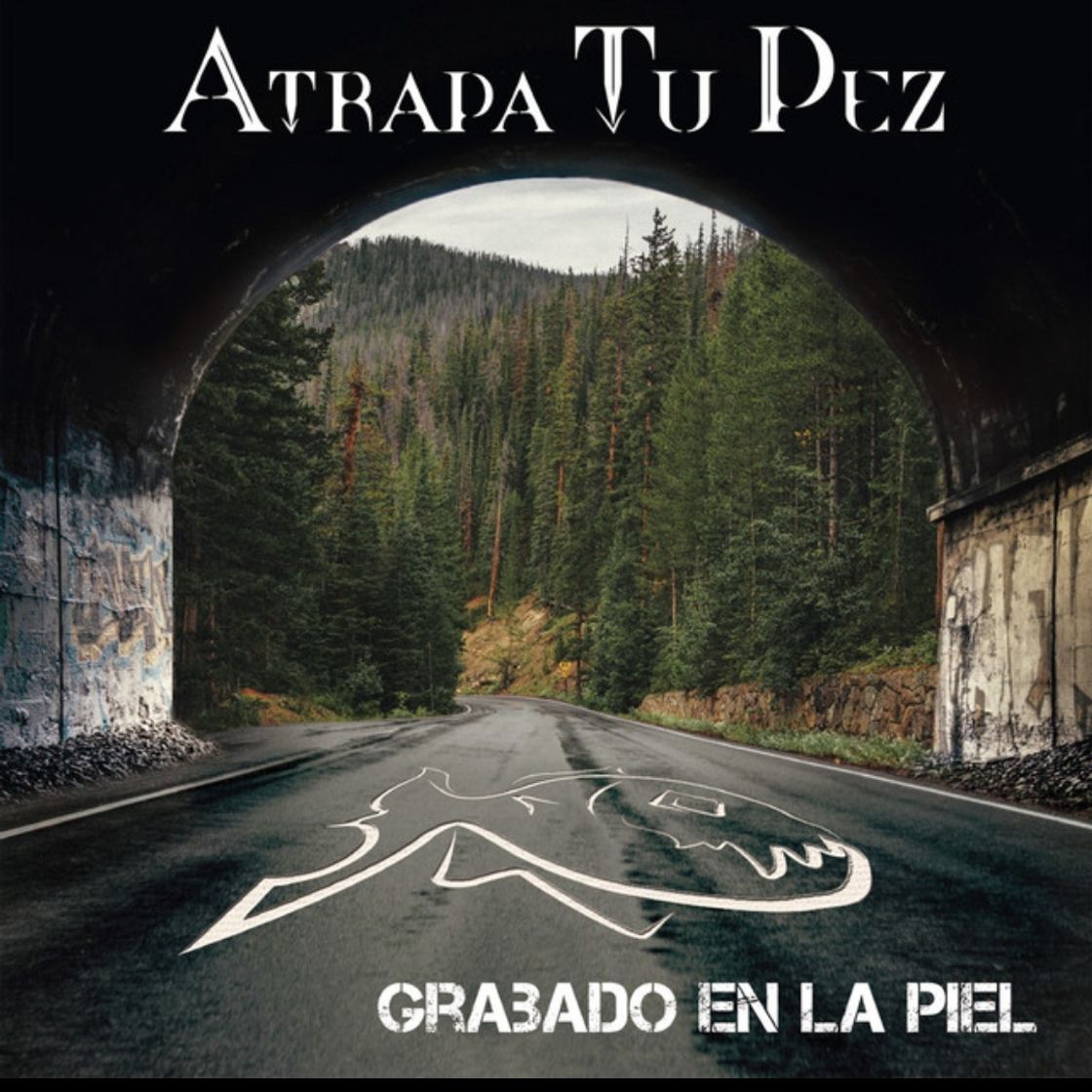 Canción Grabado En La Piel - Atrapa Tu Pez