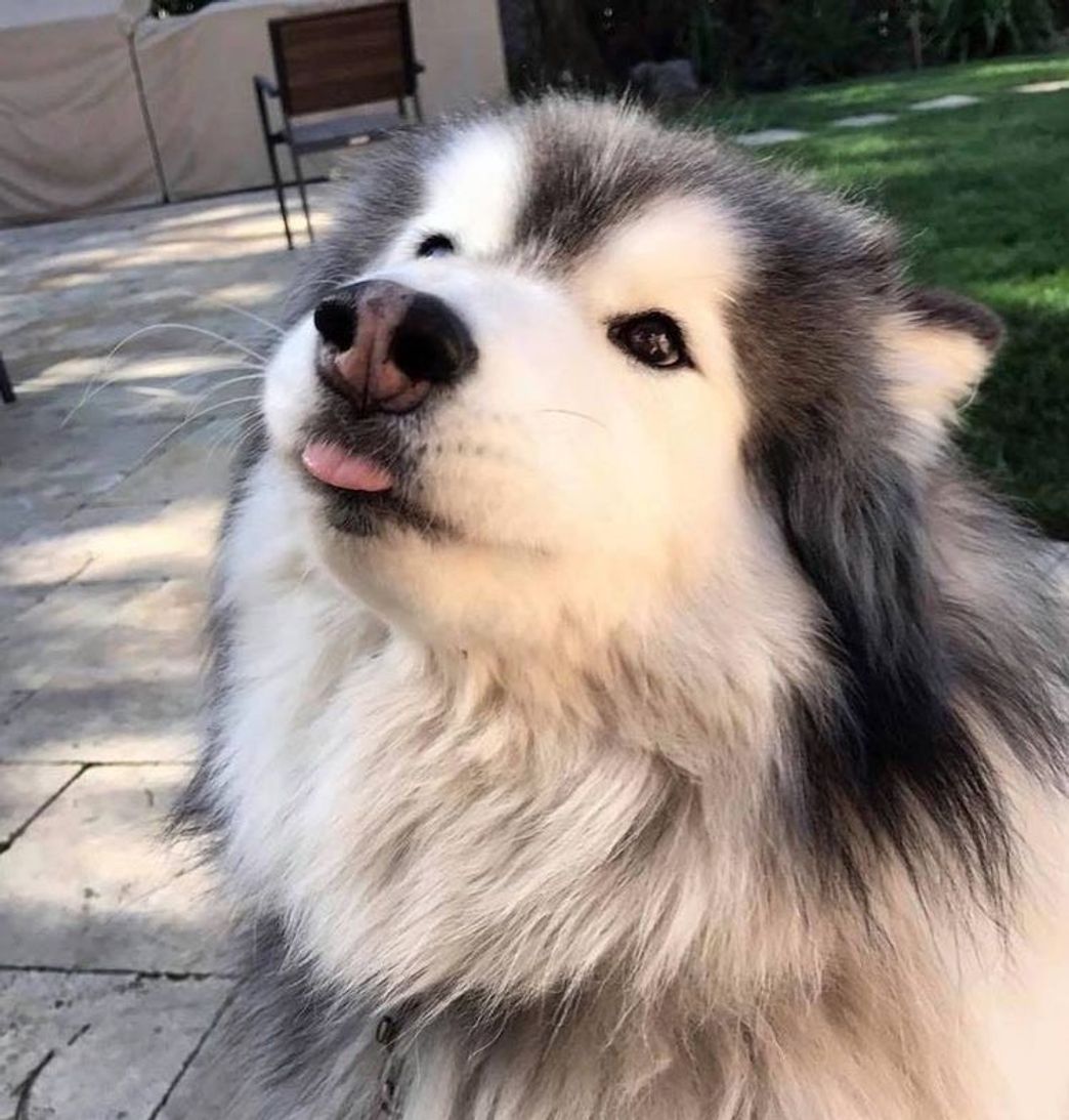 Social  hahahah ❤️❤️❤️