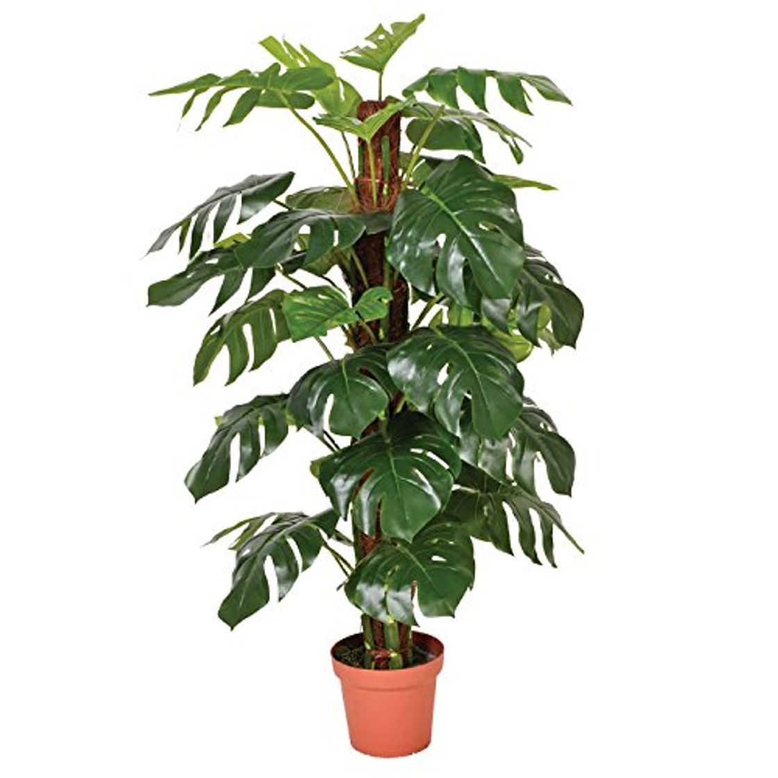 Product Catral 74010020 Planta artificial Monstera