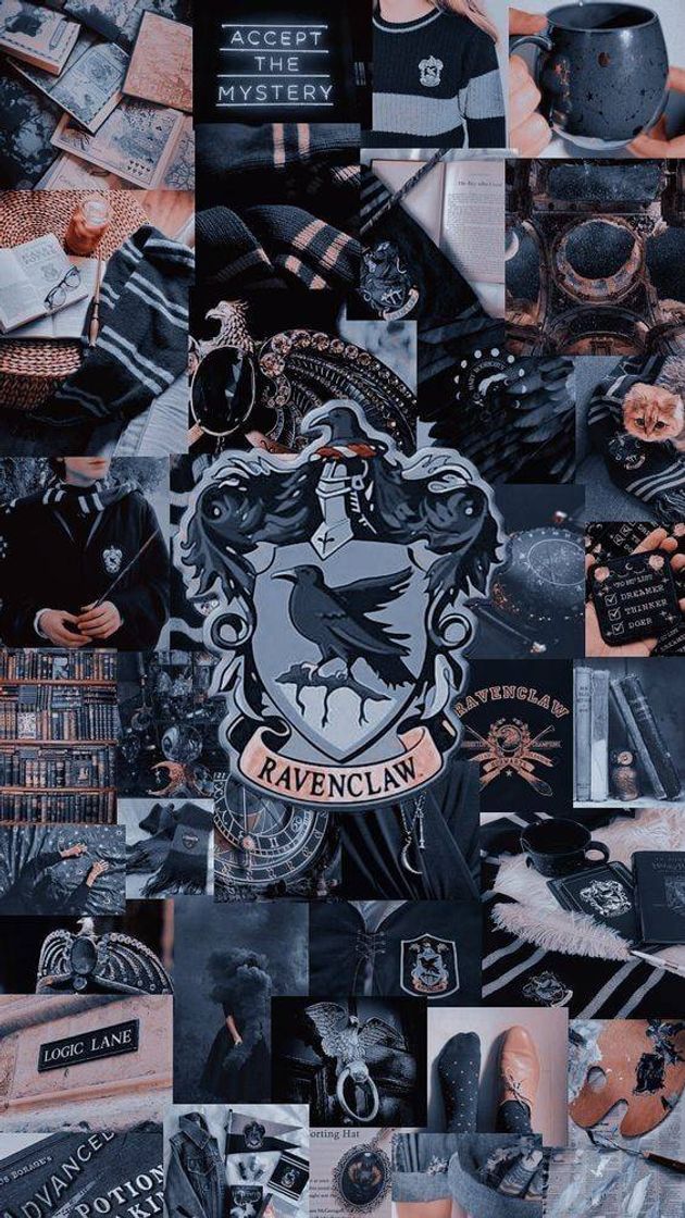 Moda Ravenclaw