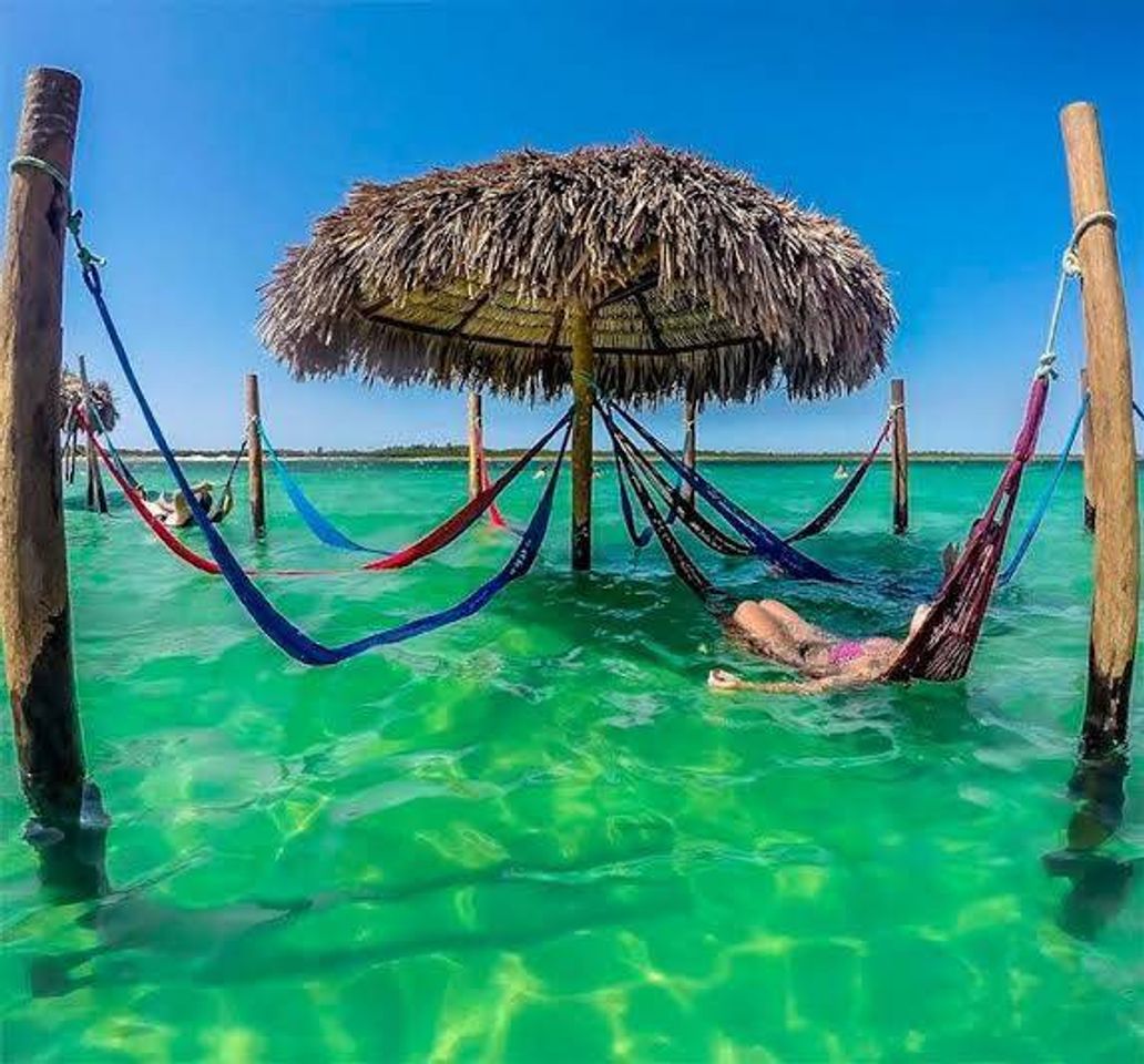 Place praia de Jericoacoara CE