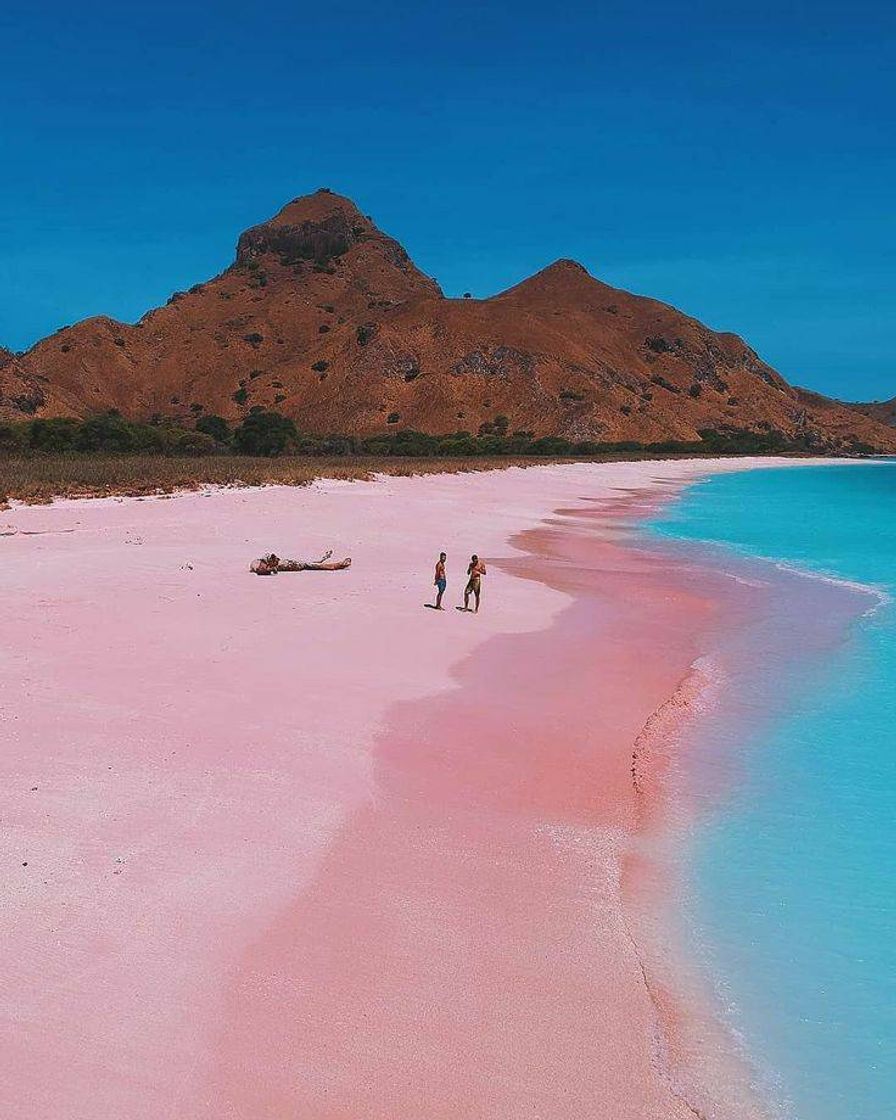 Moda Pink sands beach🌊