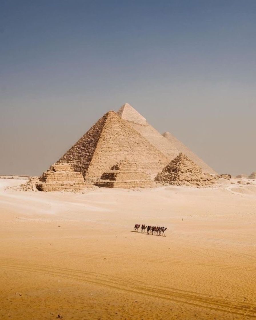 Social esse lugar é lindo :’)