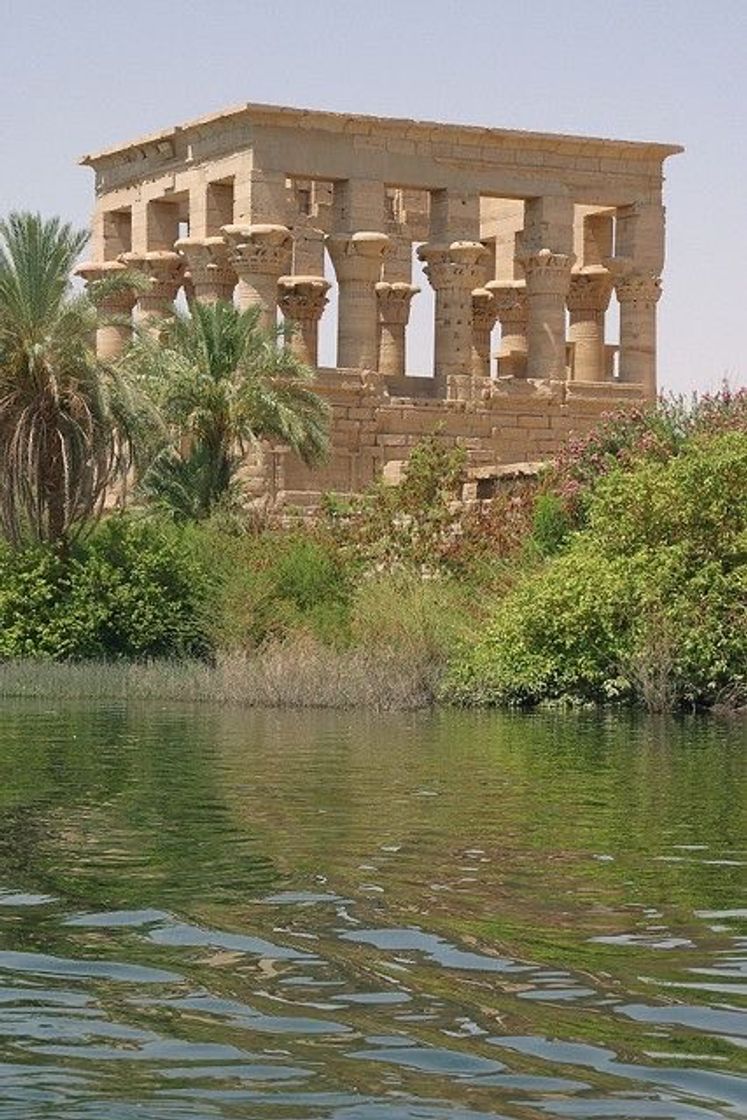 Social templo de philae, aswan, egito