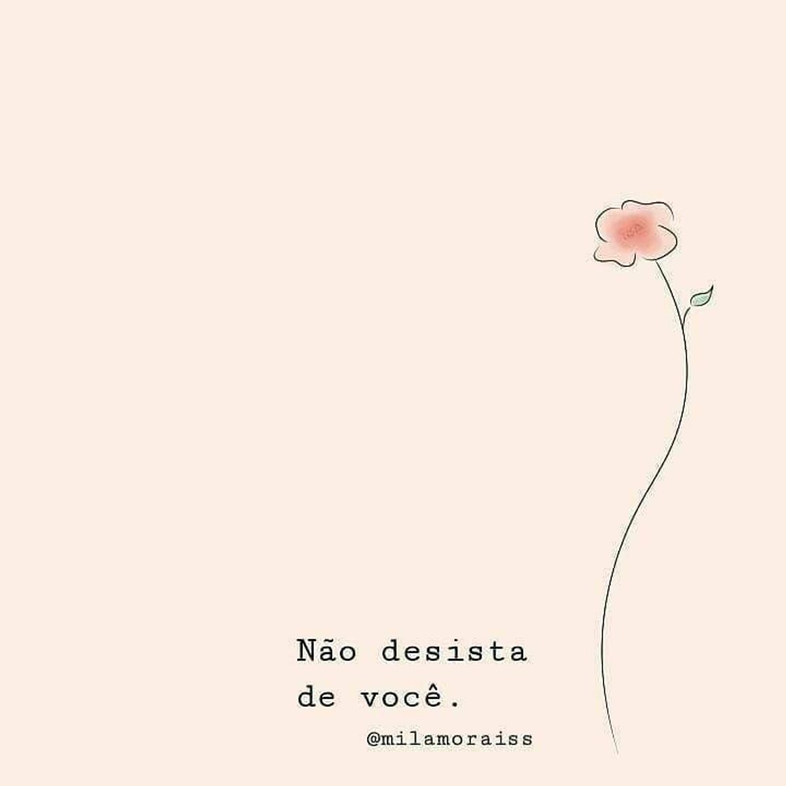 𝙵𝚛𝚊𝚜𝚎𝚜