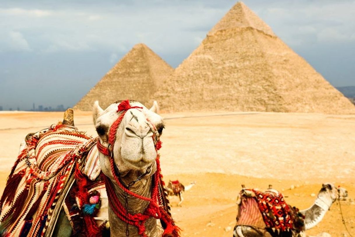 Place Egipto